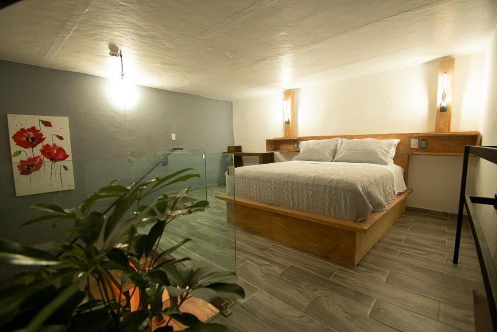 Hotel El Jardin De La Abuela Querétaro Zewnętrze zdjęcie