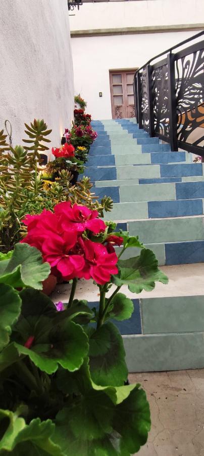Hotel El Jardin De La Abuela Querétaro Zewnętrze zdjęcie