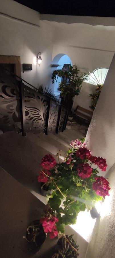 Hotel El Jardin De La Abuela Querétaro Zewnętrze zdjęcie